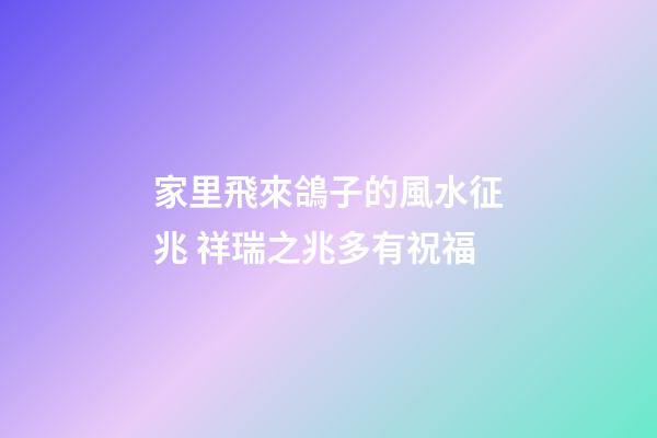 家里飛來鴿子的風水征兆 祥瑞之兆多有祝福